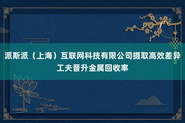 派斯派（上海）互联网科技有限公司摄取高效差异工夫晋升金属回收率